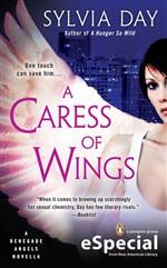 A Caress of Wings 