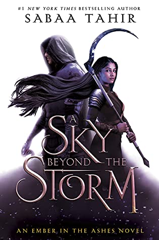 A ​Sky Beyond the Storm 
