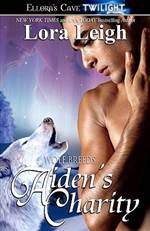 Aiden's Charity 