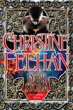 Dark Storm 
