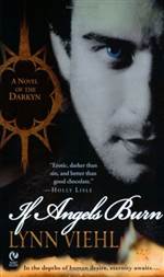 If Angels Burn 
