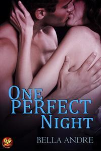 One Perfect Night 