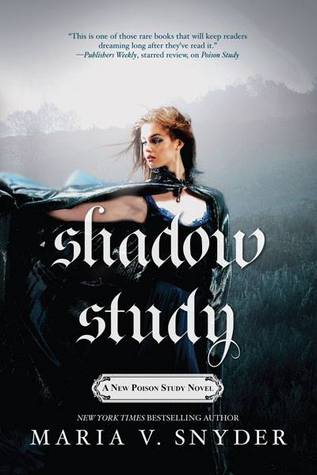Shadow Study 