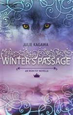 Winter's Passage 